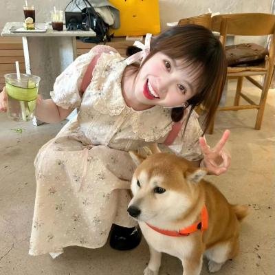 安娜贝尔国语